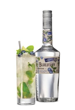 Blueberry Mojito