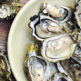 Oesters