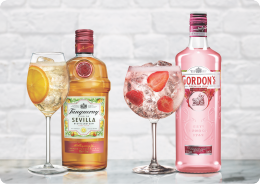 Tanqueray en Gordons